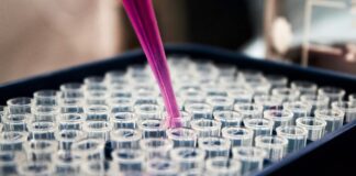 Horus Pharma expands presence in North Africa, West Asia Horus