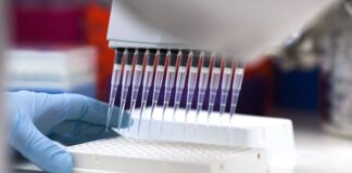 MD Anderson and Toppan Holdings to co-develop organoid technology for evaluating cancer treatments Toppan