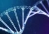 Agilus Diagnostics’ advanced genomic profiling Agilus