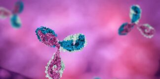 Horus Pharma agreement to commercialize Formycon’s Aflibercept Biosimilar FYB203 Horus