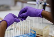 New Fellowship aims to attract global talent in biomedical science and public health Biomedical