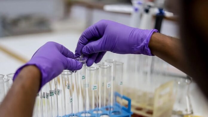 Biomedical Biomedical