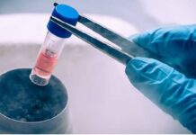 DKMS facilitates 9,100 stem cell donations for blood cancer patients DKMS