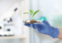 Gerresheimer: Science-based targets initiative confirms CO2e reduction targets Gerresheimer