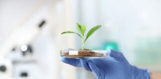 Gerresheimer: Science-based targets initiative confirms CO2e reduction targets Gerresheimer