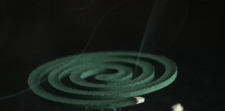 WHO report warns of rising malaria risk malaria