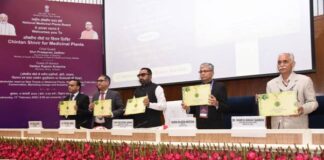 Focus on India’s medicinal plants sector India