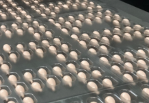 Aylward’s custom packaging automation for complex solid-dose applications Aylward