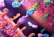 Gilead Sciences acquires Ouro Medicines for over US$2 billion Gilead