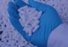 PharmNovo completes drug product manufacturing for Phase IIa study of PN6047 PharmNovo