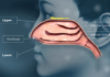 Orexo announces positive outcome from in-vivo study of OX390 Orexo