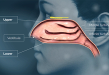 Orexo announces positive outcome from in-vivo study of OX390 Orexo