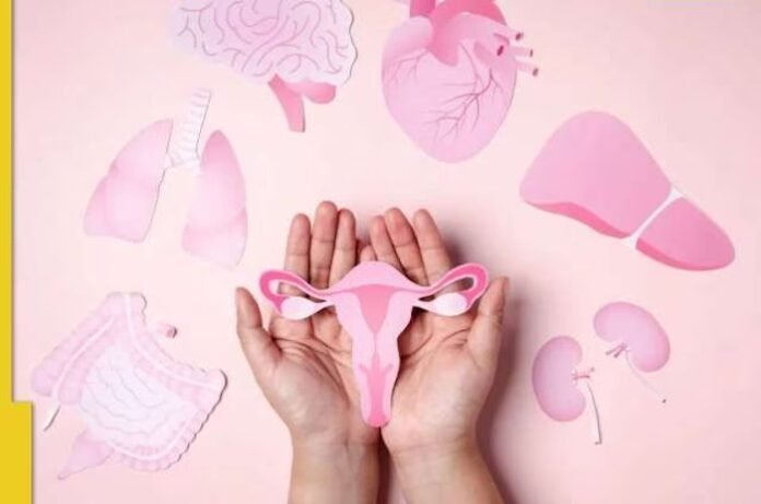 menstruation menstruation