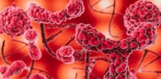 Why personalized care is reshaping the fight against blood cancer Cancer