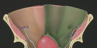 Cancer of the womb and early detection Cancer