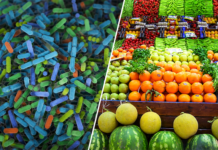 Gut microbiota can predict risk of type 2 diabetes microbiota