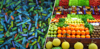 Gut microbiota can predict risk of type 2 diabetes microbiota