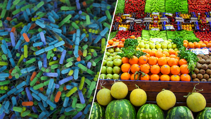 microbiota microbiota